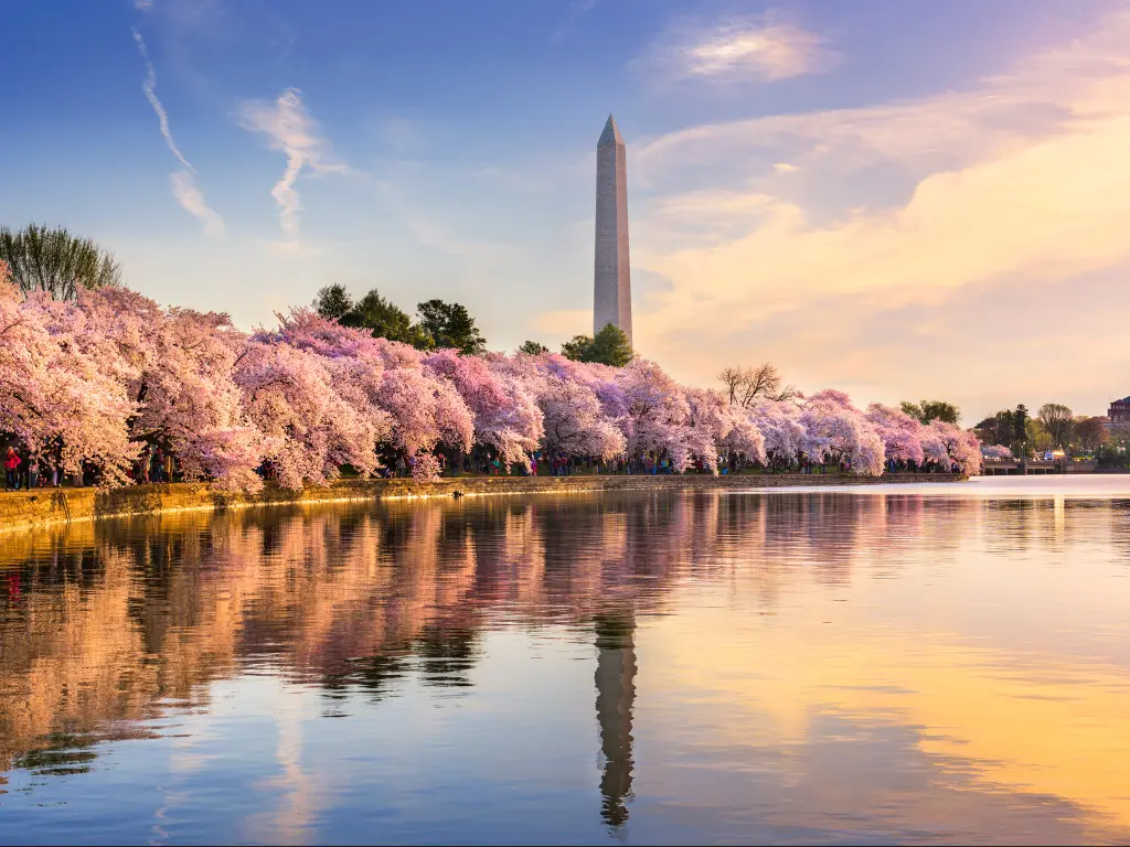 Washington Monument at Washington DC, USA
