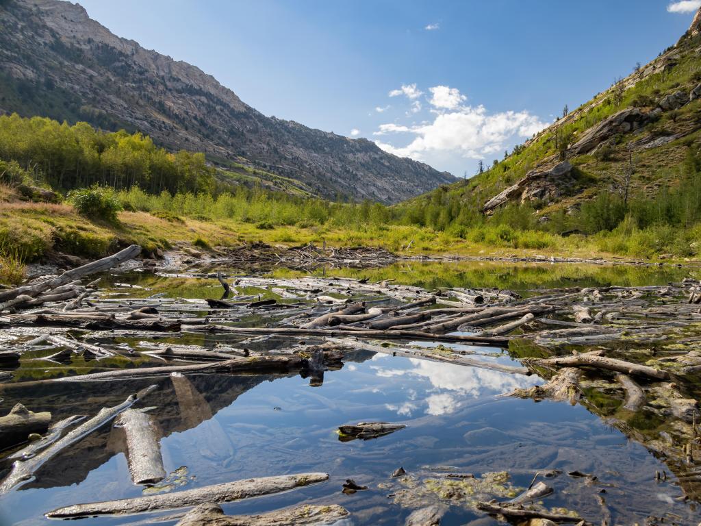 Lamoille Canyon, Nevada with the beautiful landscape surrounding a lake in the foreground and mountains in the distance, with tress surrounding the water.