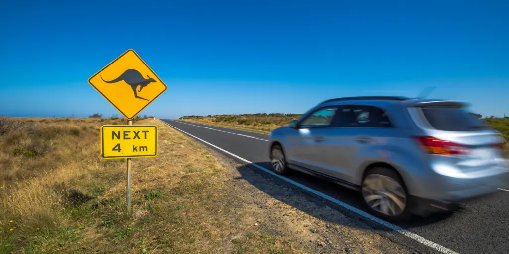 A car passes a kangaroo sign while driving in Australia