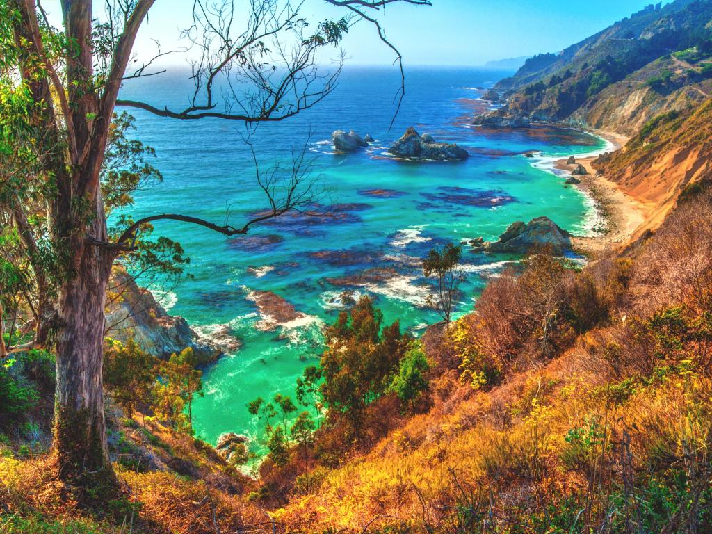View of turquoise waters from Julia Pfeiffer Burns State Park in Big Sur, California