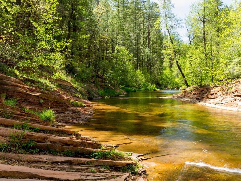 Coconino National Forest, Arizona, USA with the oak Creek streams on the national parks on a sunny day, a river in the foreground and lush green trees in the background. 