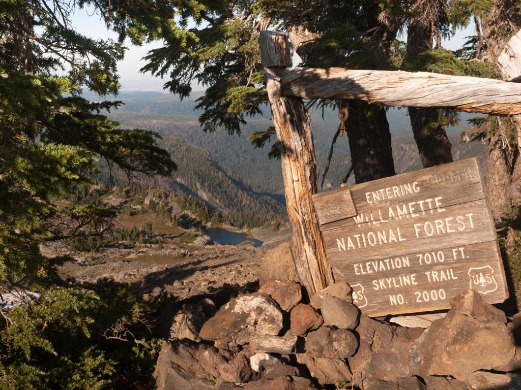 Skyline Trail Willamette National Forest High Elevation Mountain Landscape