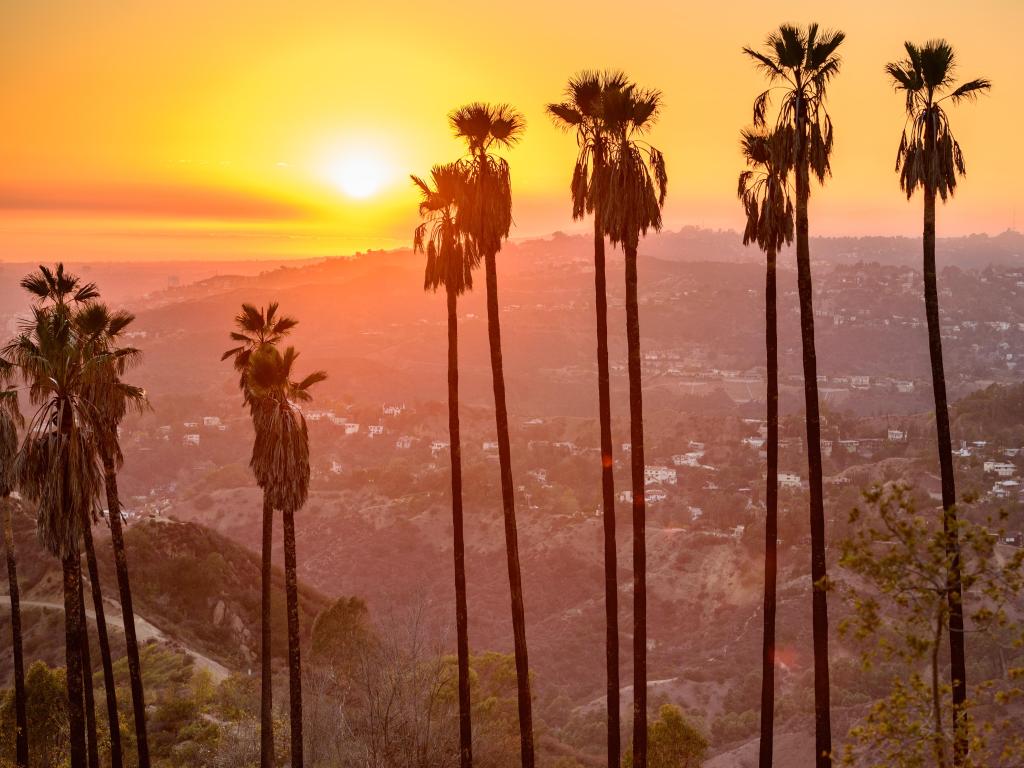 View of Los Angeles from Griffith Park, with the skyline set against an orange sunset