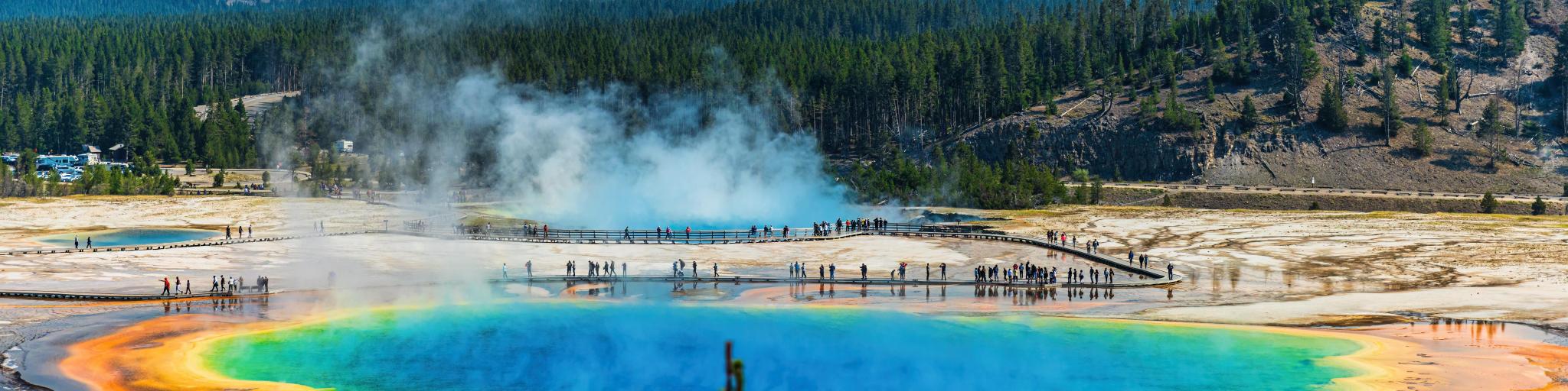 Wide view of Grand Prismatic Spring and viewing platform, with blue and yellow waters and surrounding forests
