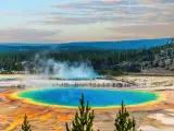 Wide view of Grand Prismatic Spring and viewing platform, with blue and yellow waters and surrounding forests