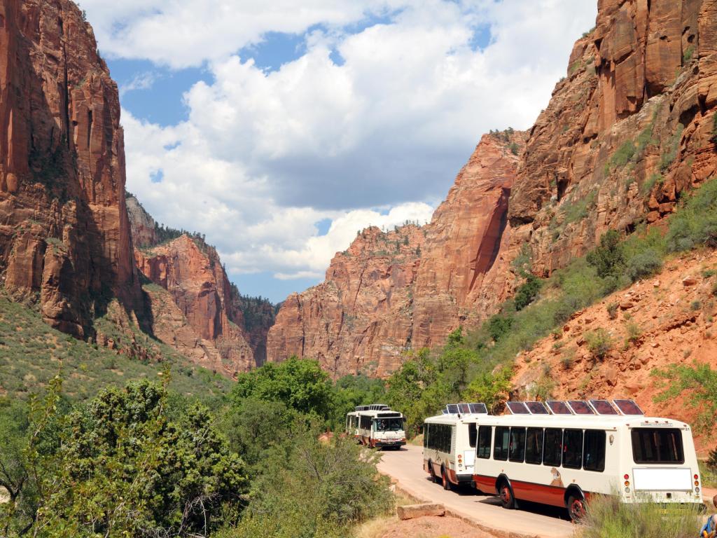 Shuttle buses passing through the red rocks and greenery around Zion National Park, Utah