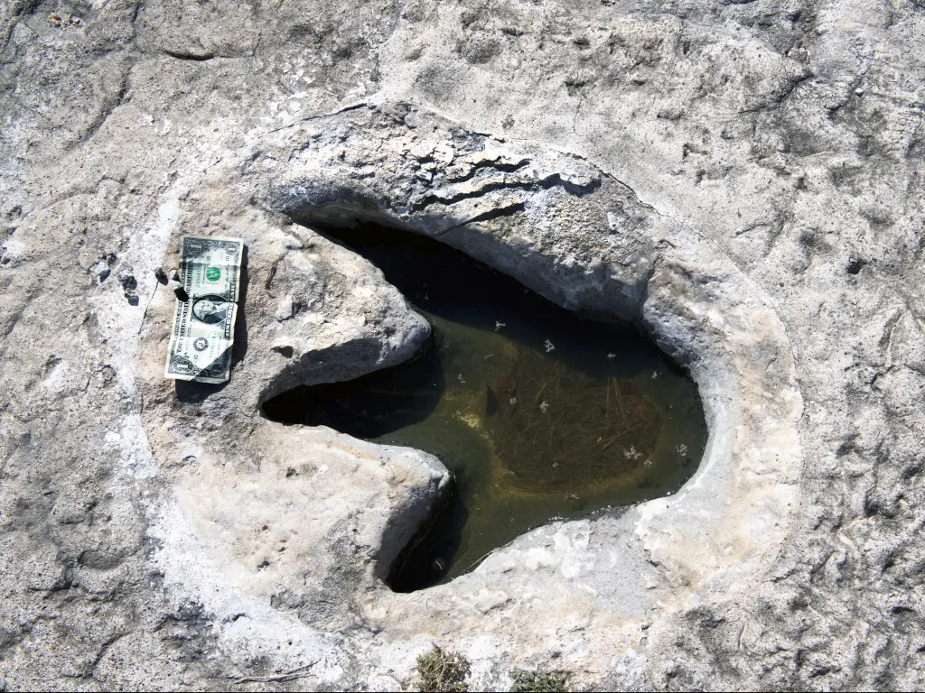 Preserved dinosaur footprints in the Dinosaur Valley State Park, Texas