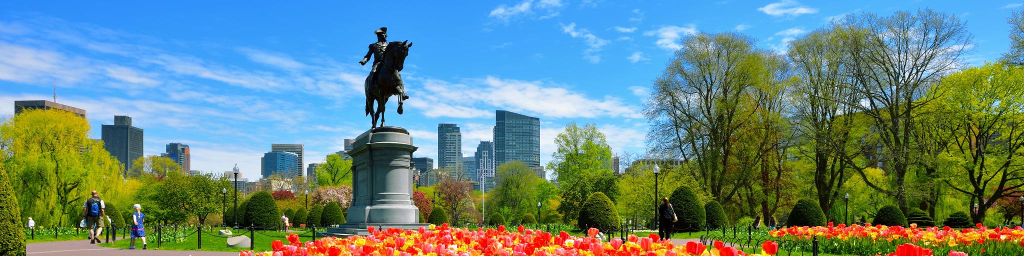 Boston Public Garden with George Washington statue in the background with blue skies. There are tulips in the foreground.