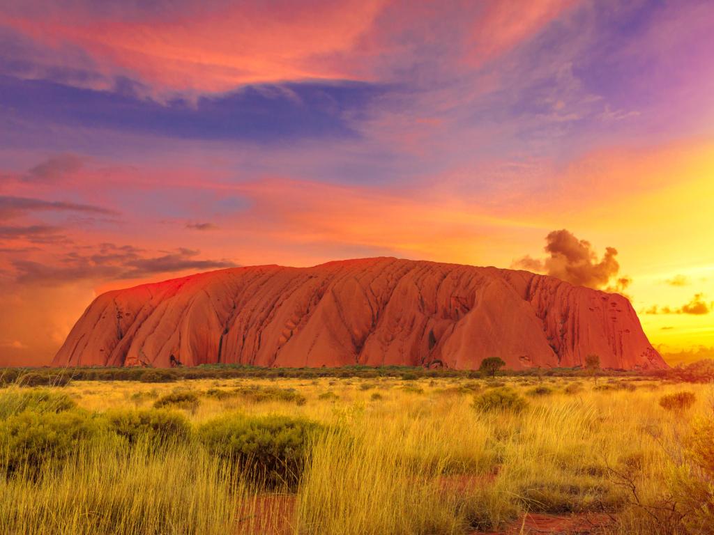 Vivid red Uluru Rock, Northern Territory, Australia, set against a vivid sunset in the desert 