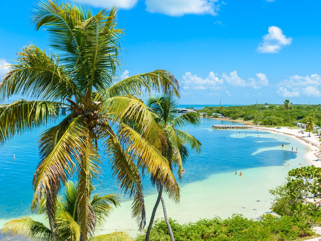 Bahia Honda State Park, Calusa Beach, Florida Keys with a large palm tree in the foreground, a tropical coast with golden sands and trees in the distance under a sunny blue sky.