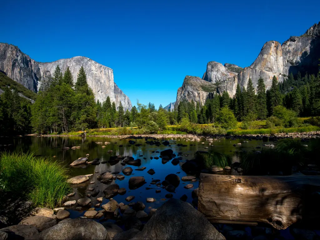 Yosemite National Park, California, USA taken at the famous El Capitan Rock Formation on a sunny and clear day with rocks and drift wood in the foreground, trees and rock cliffs beyond the lake. 