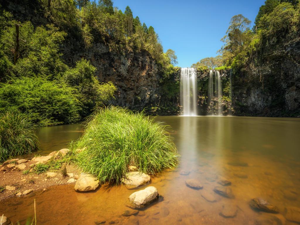 Waterfall Way, New South Wales, Australia taken at Dangar Falls along the Waterfall Way in the Rainforest of Dorrigo National Park.
