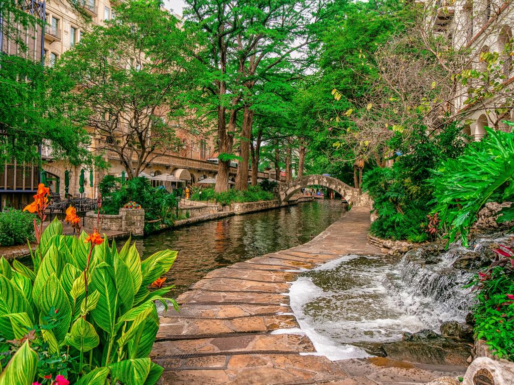 The San Antonio Riverwalk by day with green plants fringing the river 