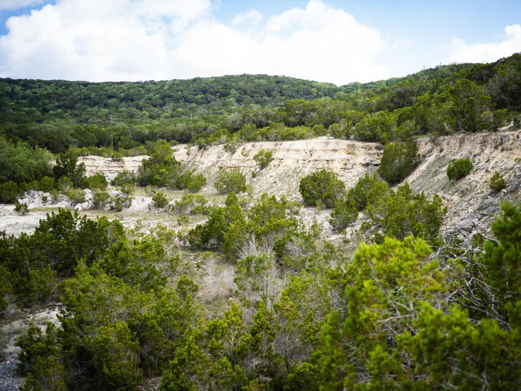 Cliff with trees