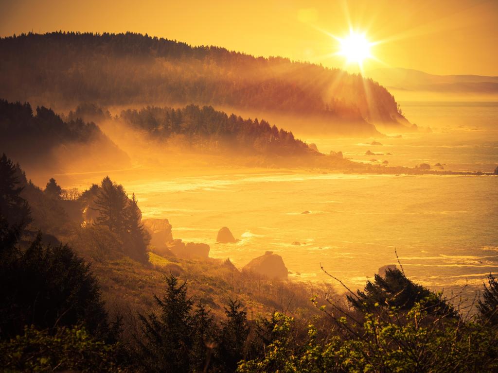 Eureka, California at sunset with a yellow hue and the shoreline surrounded by rocks and trees.