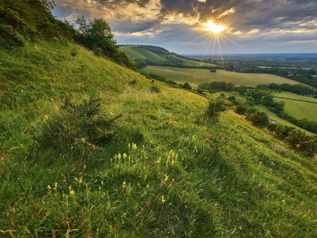 South Downs National Park, UK with a view of the rolling hills at sunset of Clayton to Offham Escarpment.