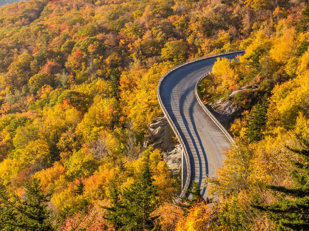 Blue ridge Parkway in Autumn with a secret vantage point of the Linn Cove Viaduct at sunrise