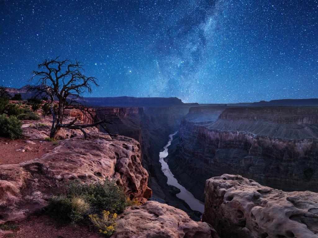 Milky Way over the canyon