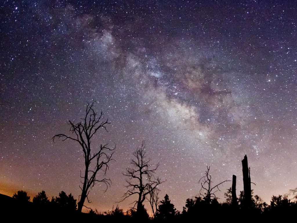 Cuyamaca Rancho State Park, California, USA with the Milky Way and fire-damaged trees in the foreground taken at Paso Picacho Campground.
