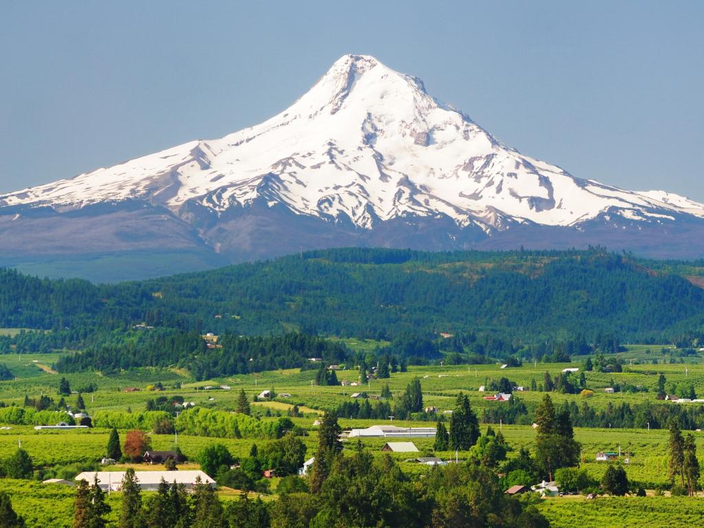 Mount Hood near Portland, Oregon surrounded by field and forests.