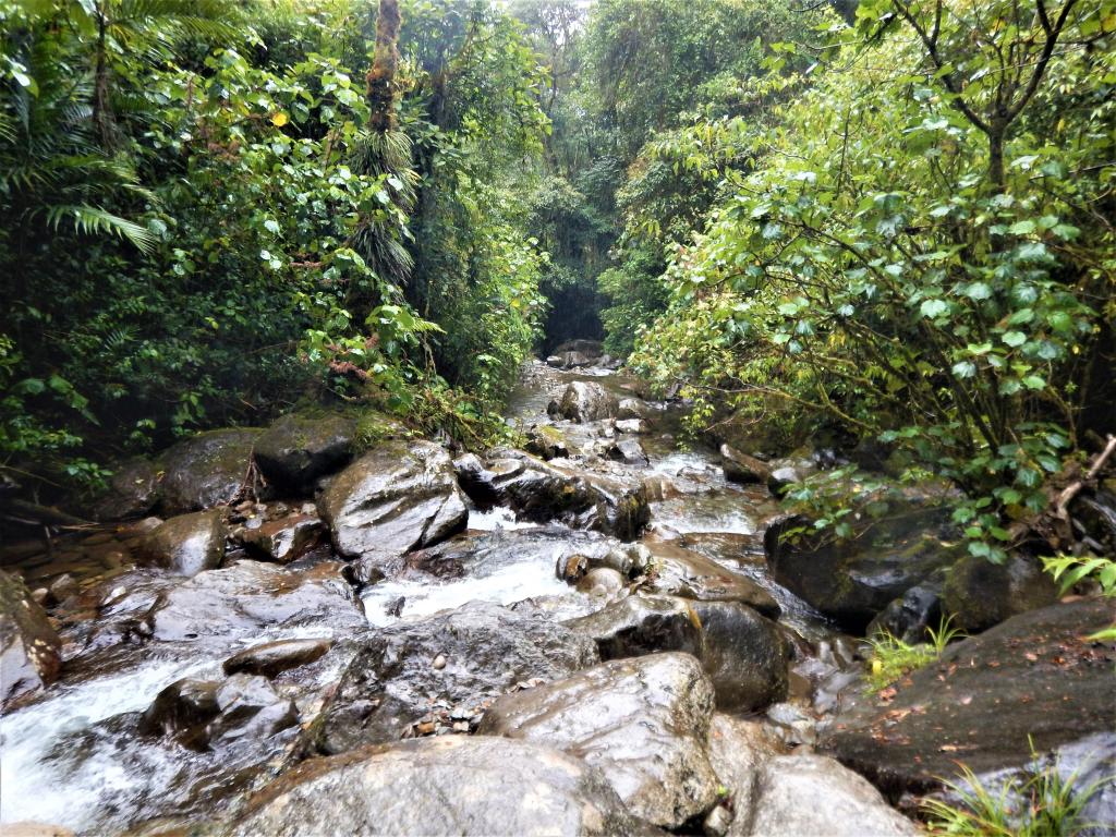 The Darién Gap is a break across the North and South American continents within Central America