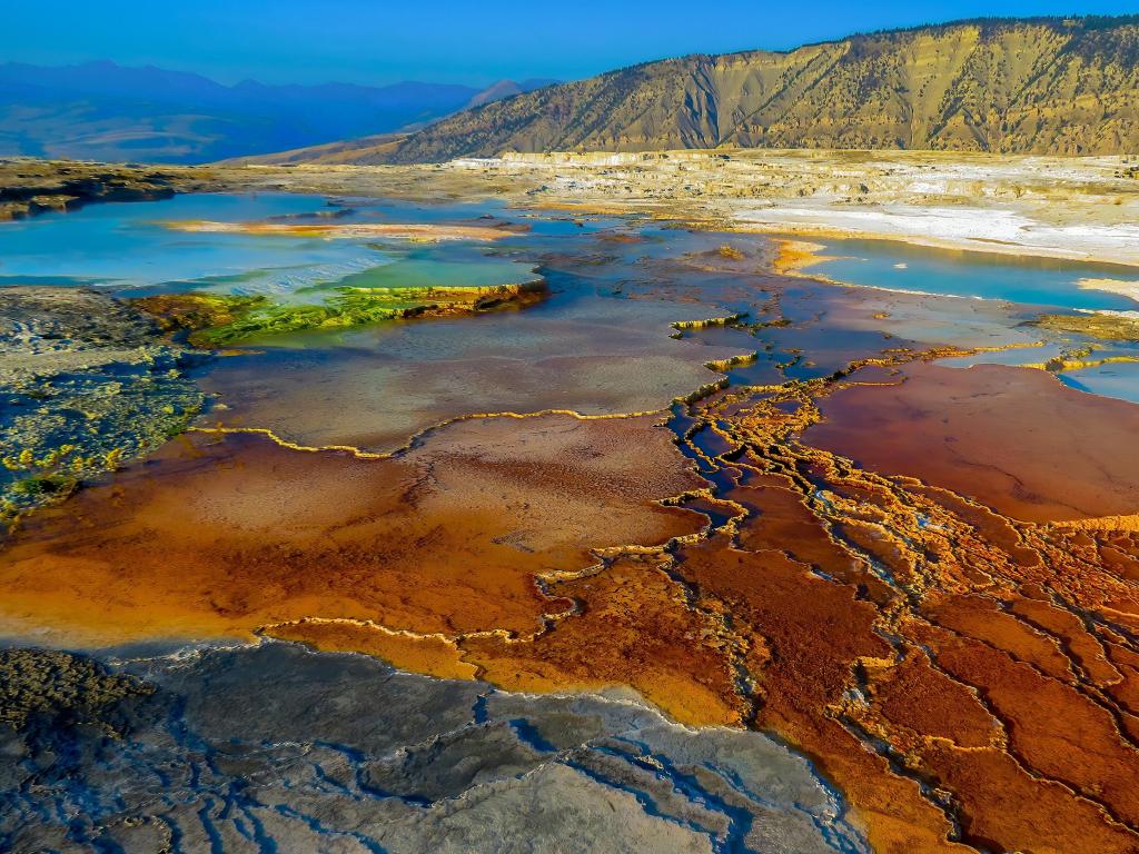 Yellowstone National Park, Wyoming, USA with magical colors of Mammoth hot springs.