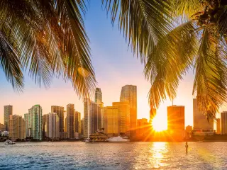 Miami's famous skyline with sunbeams shining through the skyscrapers, palm leaves framing the image
