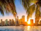 Miami's famous skyline with sunbeams shining through the skyscrapers, palm leaves framing the image