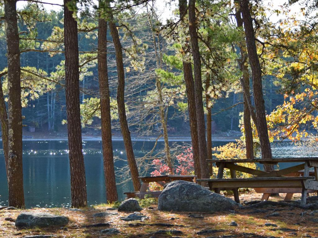 Myles Standish State Forest, Plymouth, MA, USA with picnic benches and trees in the foreground and calm water in the background.