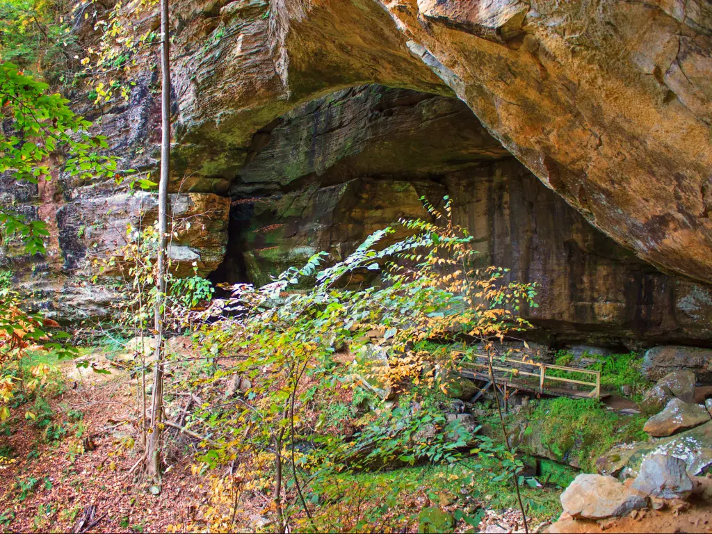 Rocks and shallow caves along the Fern Bridge hiking trail in Carter Cave State Park, Kentucky