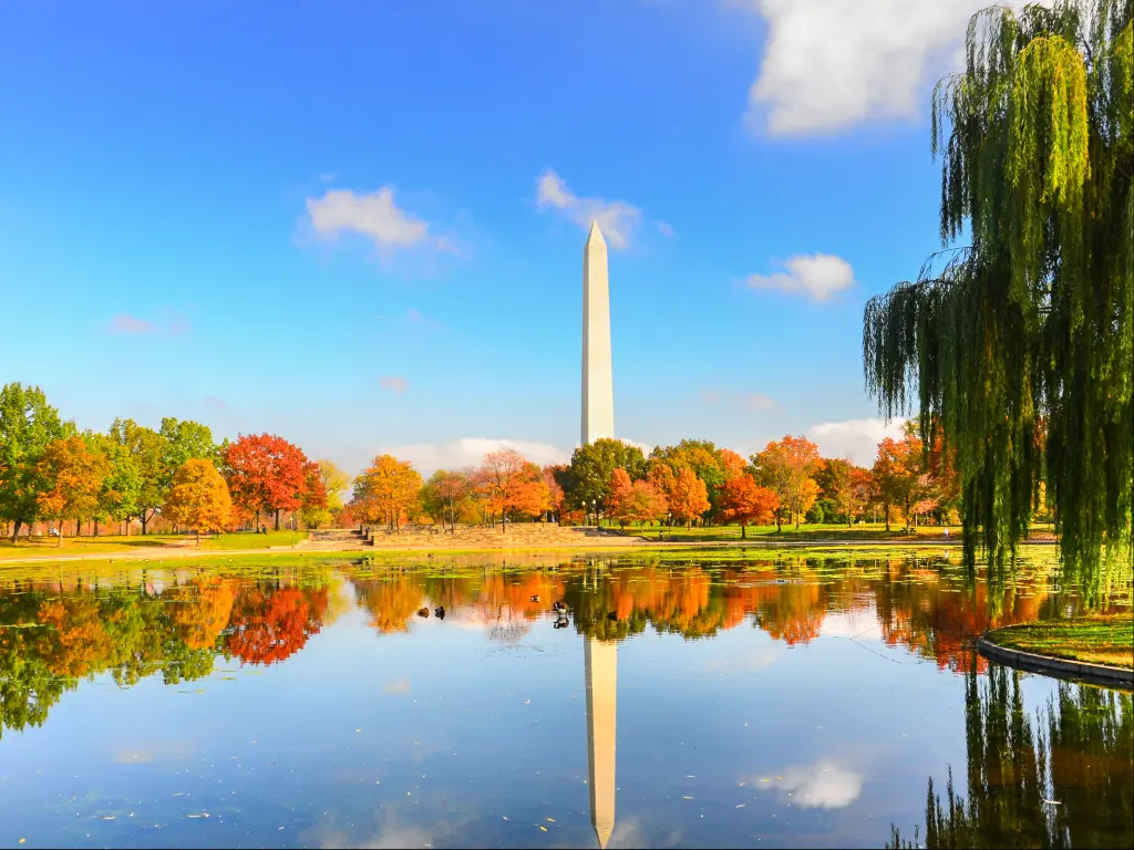 Washington Monument in the fall - a view from Washington D.C.'s Constitution Gardens