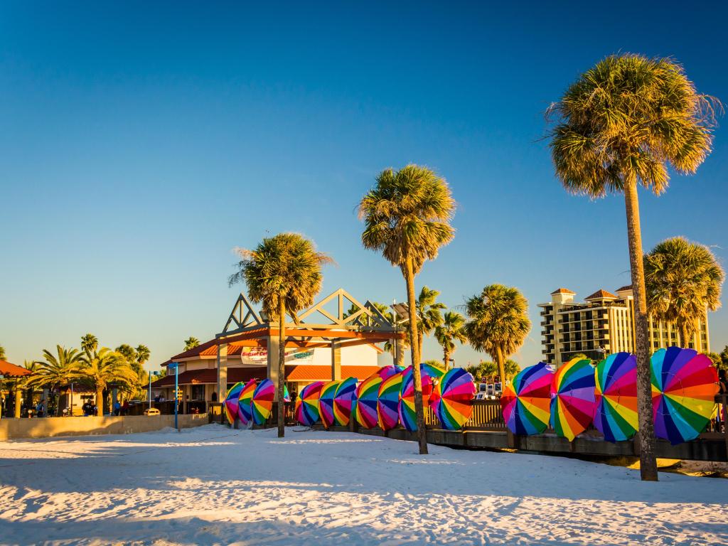 Palm trees and colorful beach umbrellas in Clearwater Beach, Florida.