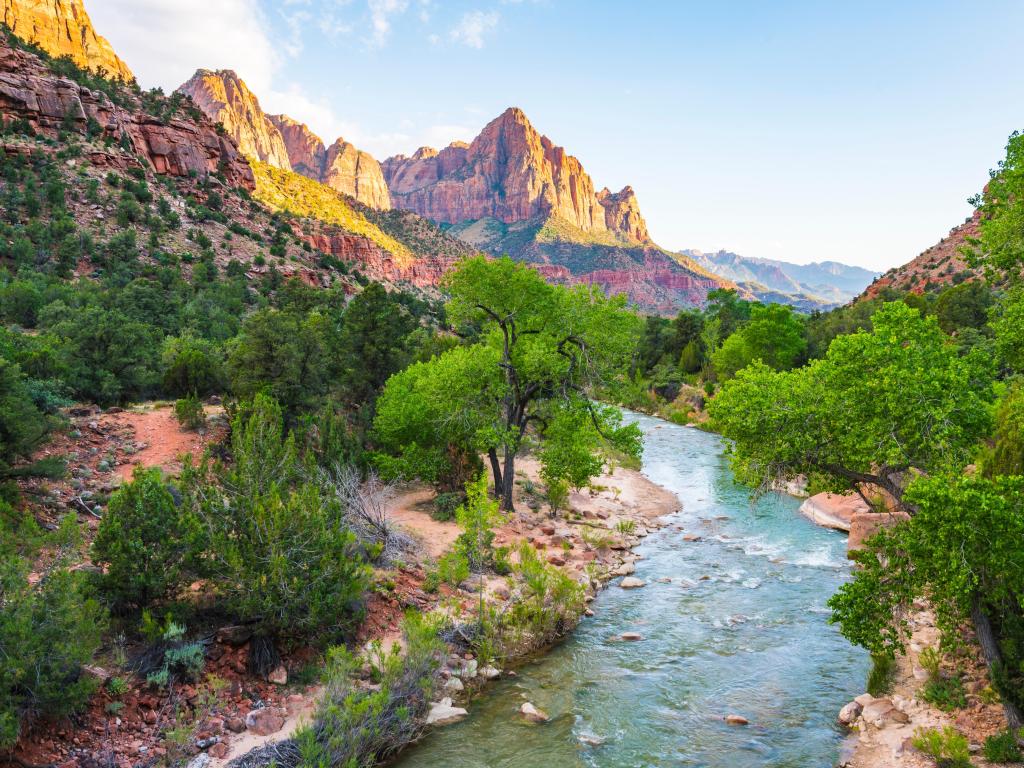 Zion National Park, Utah, USA with a beautiful view of the river, trees surrounding it and the rocky mountains in the distance taken on a sunny day.