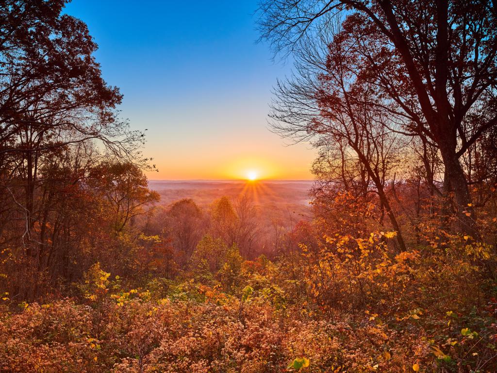 Sunrise seen through fall foliage at Brown County State Park, Indiana