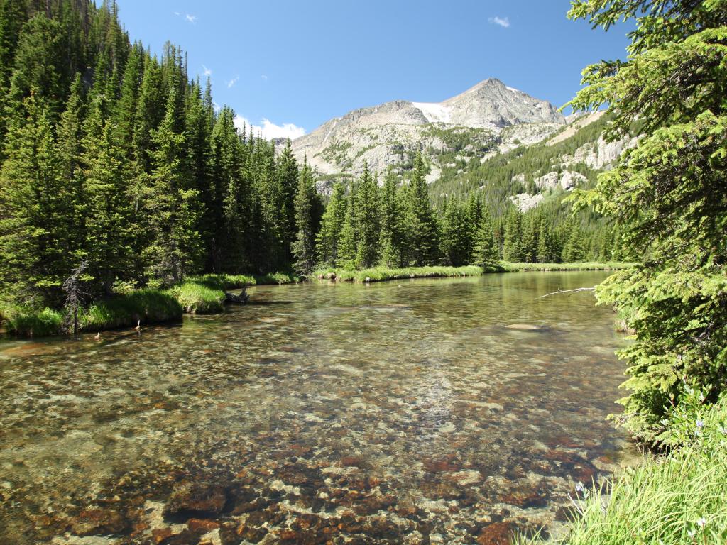 West Fork Rock Creek flowing in Beartooth Mountains, Montana in Custer Gallatin National Forest.
