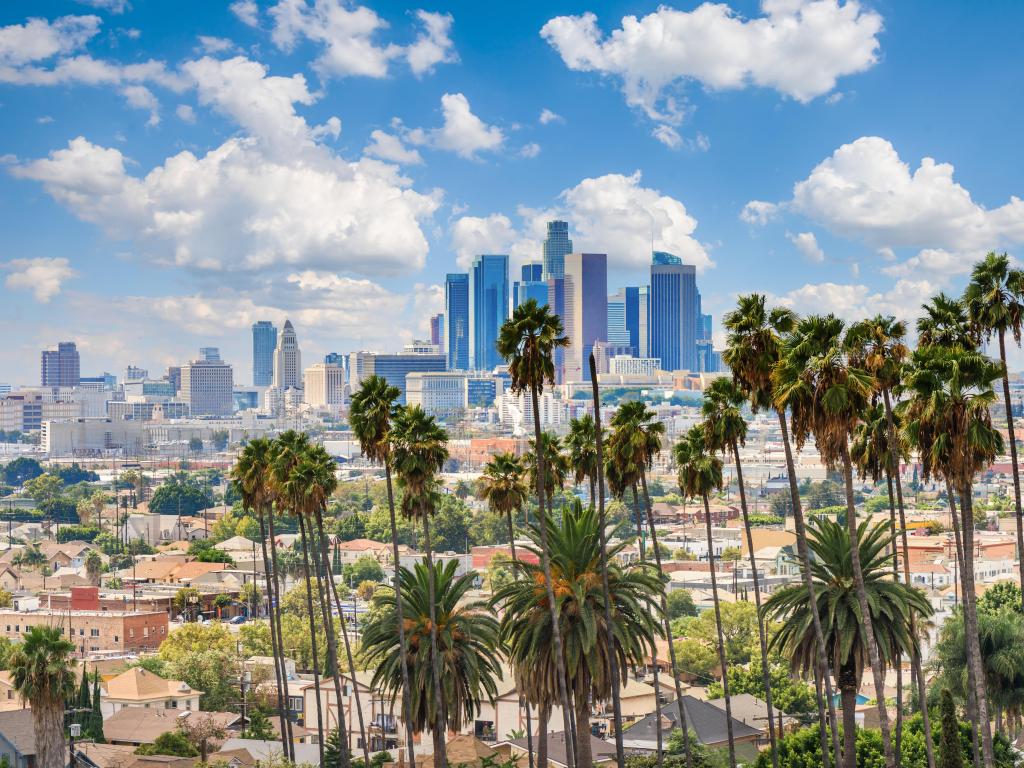 Beautiful cloudy day of Los Angeles downtown skyline and palm trees in foreground