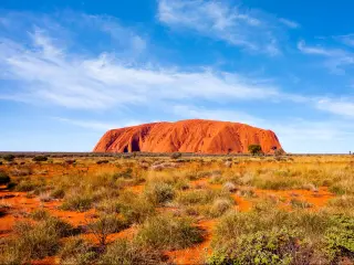 Uluru (Ayer's Rock) in Uluru-Kata Tjuta National Park, Australia with the massive sandstone monolith in the distance and grass and desert landscape in the foreground on a sunny day.