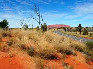 Road through the outback
