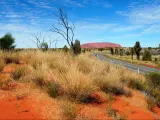 Road through the outback