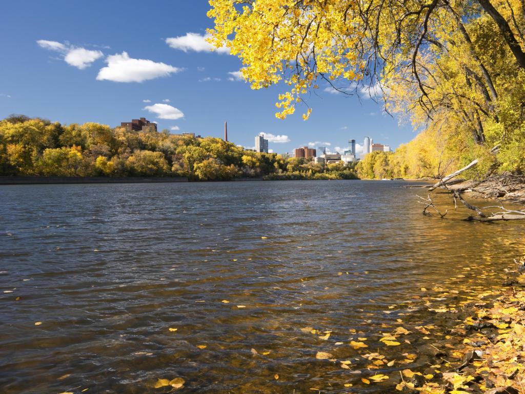 Mississippi River, Minnesota, USA with trees in fall colors along the river and Minneapolis skyline in the distance. 