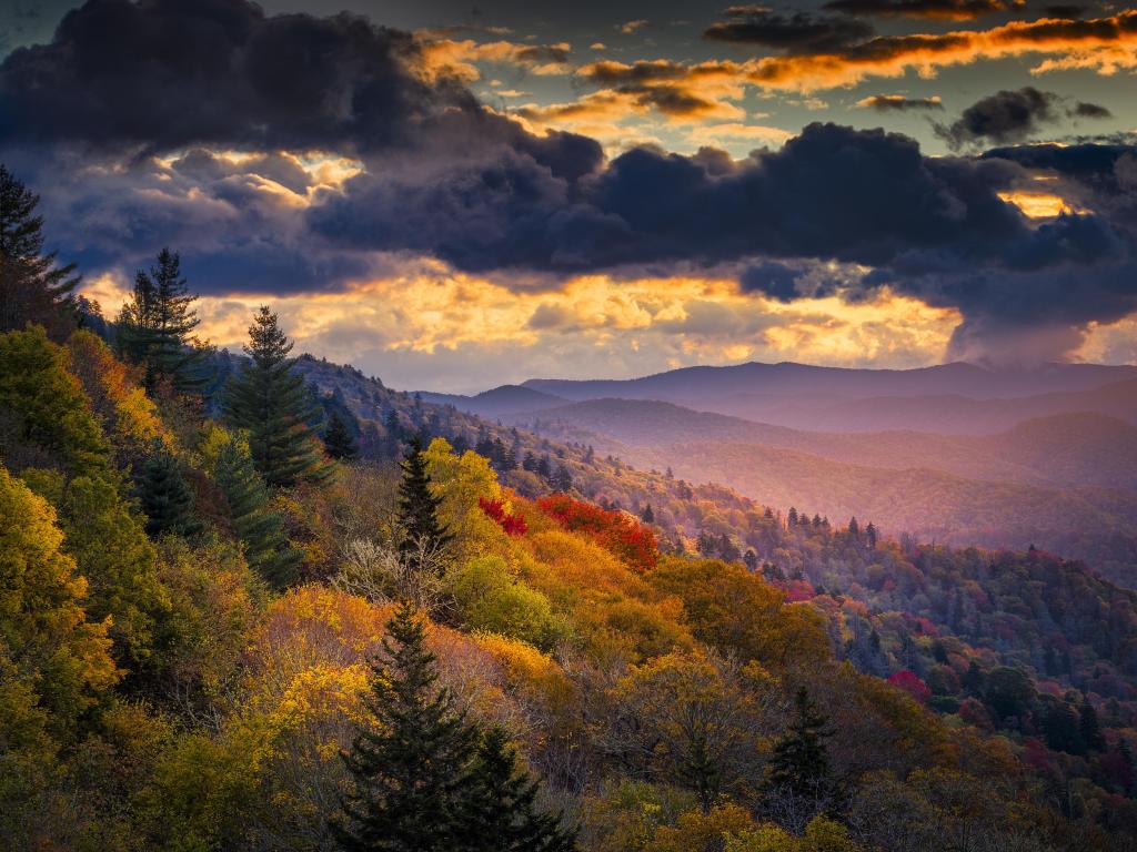 Great Smoky Mountains National Park, North Carolina, USA with a single shaft of golden dawn sunlight illuminates autumnal ridges and valleys in Great Smoky Mountains National Park