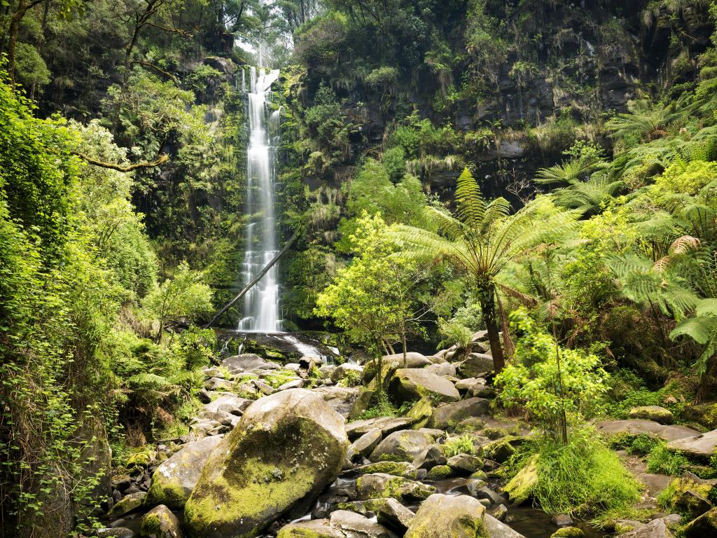Waterfall in dense, lush green forest with rocks in the foreground