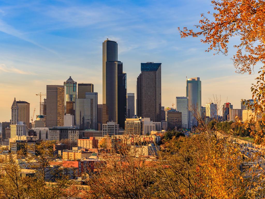 Cityscape of Seattle as the sun sets, framed by autumnal trees