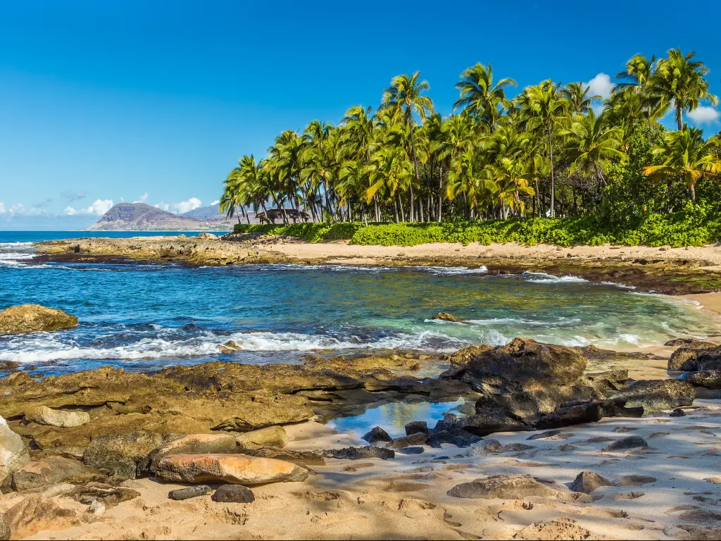 Palm trees stand tall on a secret beach close to Ko Olina Resort on Oahu's West Coast,  Hawaii