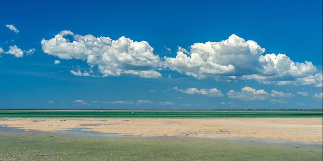 Can you Drive to Monomoy Island?