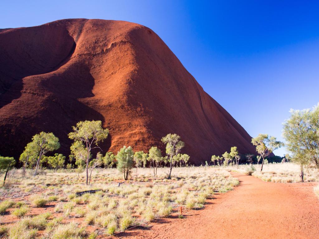 Uluru, Northern Territory, Australia taken at the southern face of Uluru on the Kuniya walk on a clear winter's afternoon with trees and a path in the foreground.