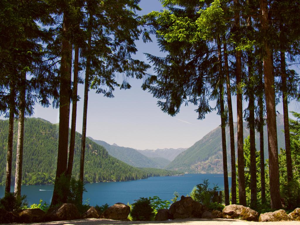 Beautiful view of the lake in Olympic National Park, framed by tall trees