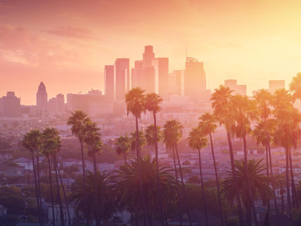 Los Angeles hot sunset view with palm tree and downtown in background. California, USA.