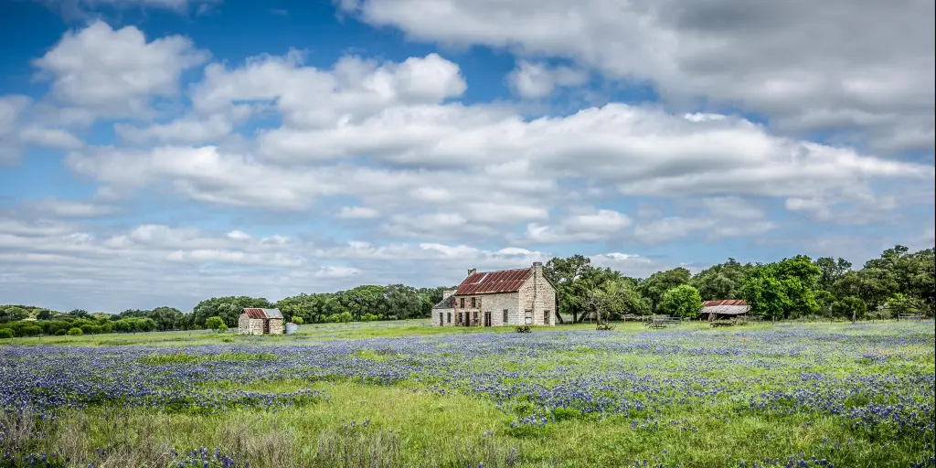 Dallas to San Antonio Road Trip