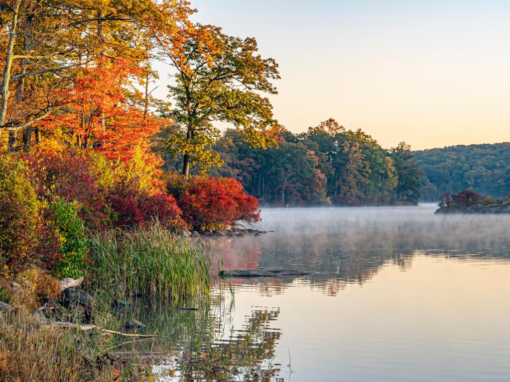 Mist rising off still lake water with orange and gold fall foliage on trees in the foreground